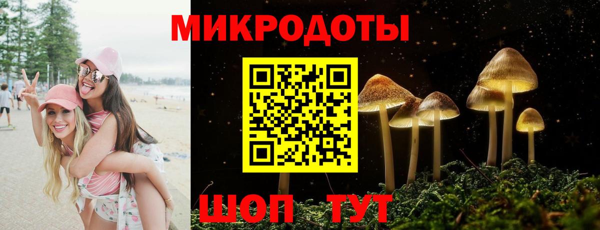 Псилоцибиновые грибы мухоморы Лабытнанги